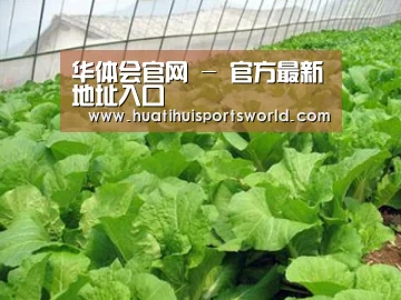 种植基地一