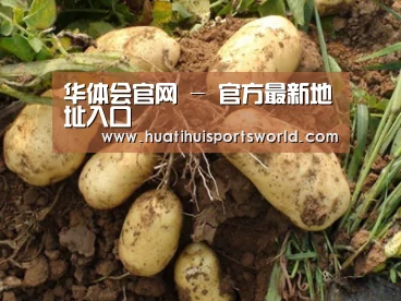 种植基地六