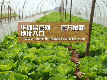 种植基地五