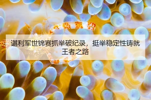 谌利军世锦赛抓举破纪录，挺举稳定性铸就王者之路