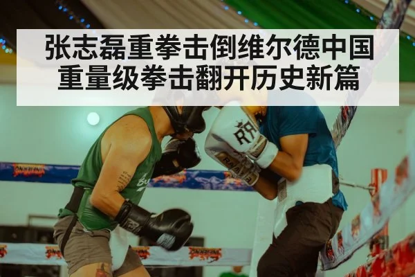 张志磊重拳击倒维尔德中国重量级拳击翻开历史新篇