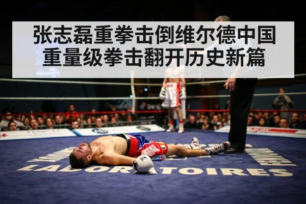 boxing knockout