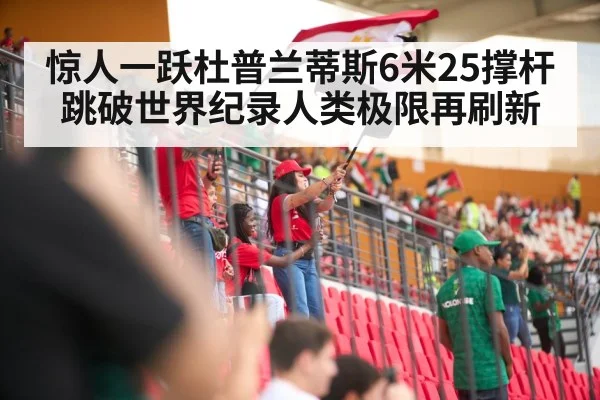 stadium crowd